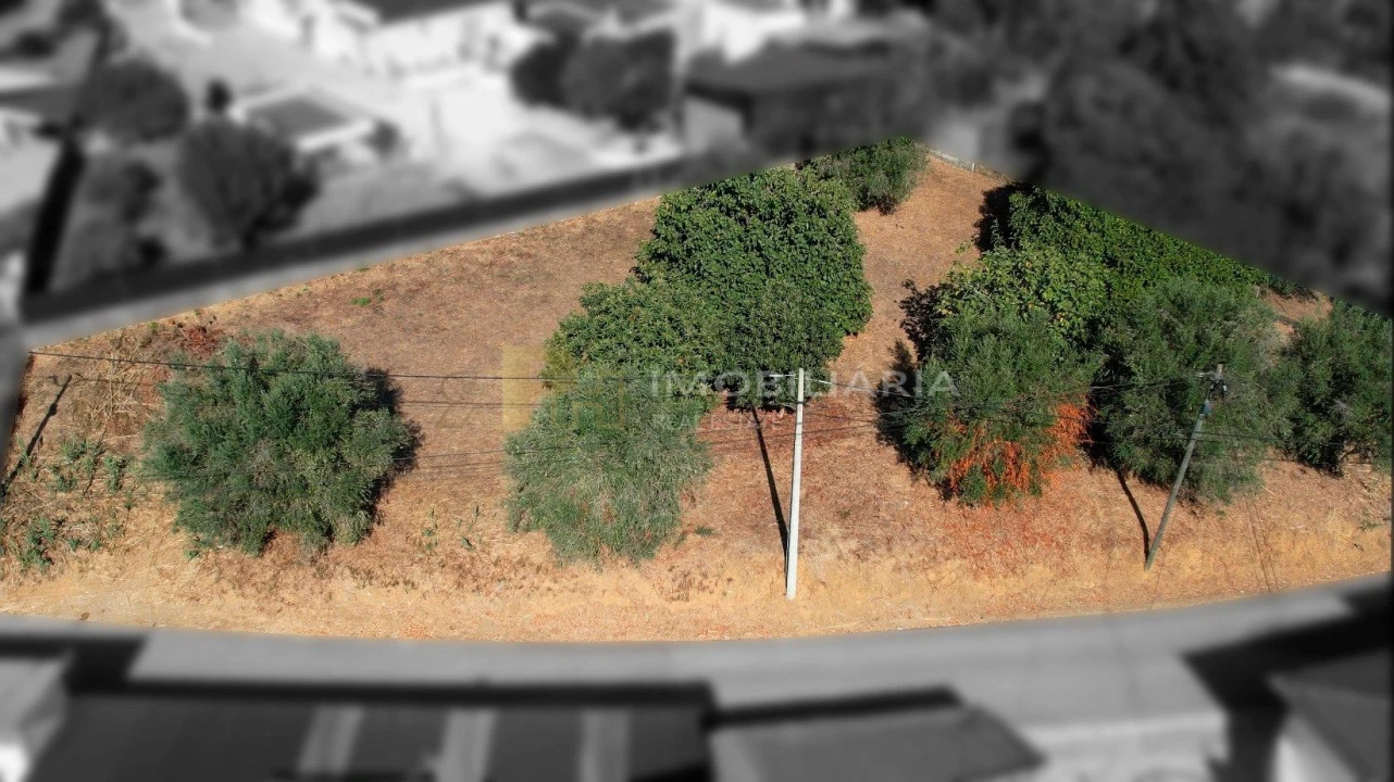 Terreno para Venda em Alcanhões Foto 13