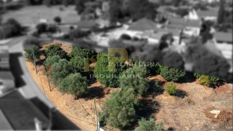 Terreno para Venda em Alcanhões