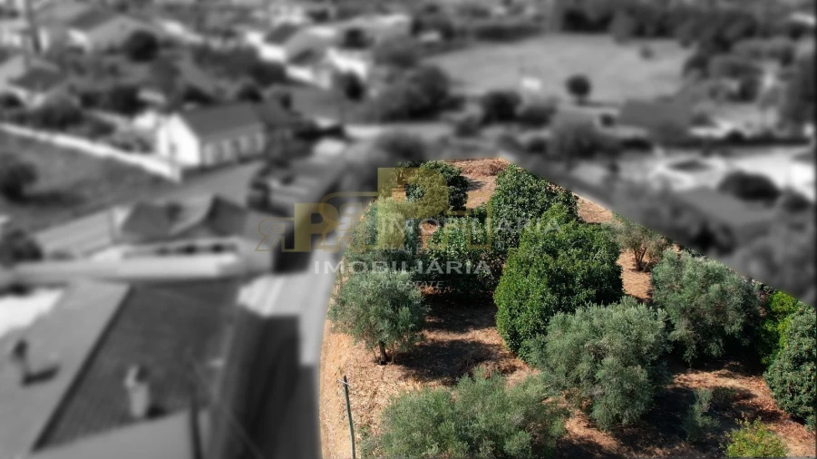 Terreno para Venda em Alcanhões Foto 7