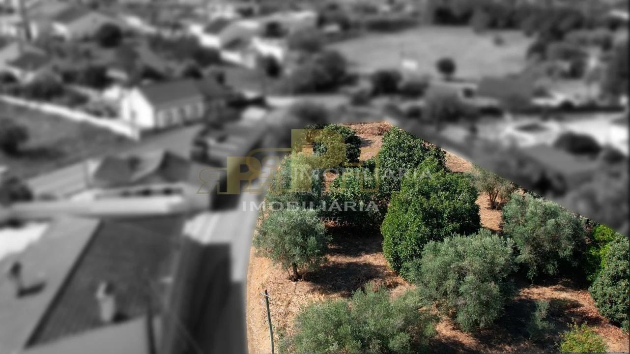 Terreno para Venda em Alcanhões Foto 4