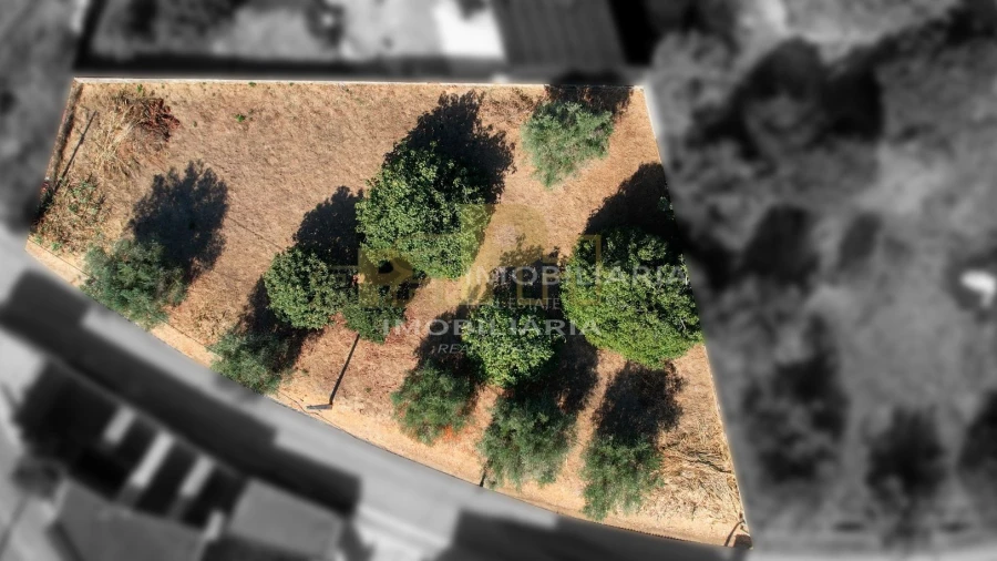 Terreno para Venda em Alcanhões