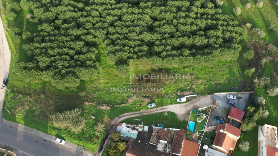 Terreno para Venda em Marvila, Ribeira Santarém, São Salvador, São Nicolau Foto 2