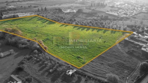 Terreno para Venda em Abitureiras