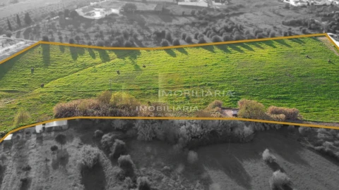 Terreno para Venda em Abitureiras