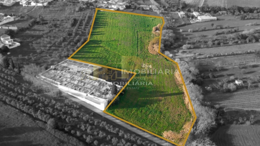 Terreno para Venda em Abitureiras
