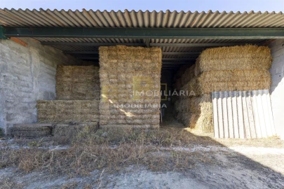 Moradia T2 para Venda em Abitureiras