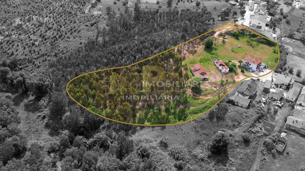 Moradia T5 para Venda em Alcanede Foto 34