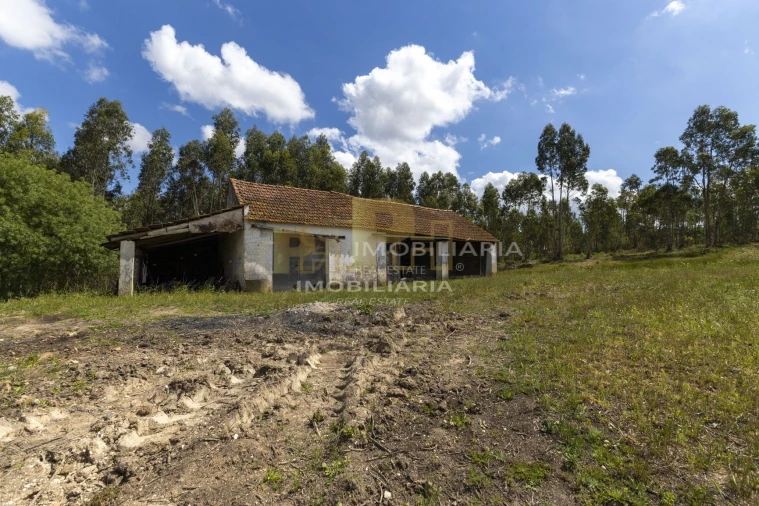Moradia T5 para Venda em Alcanede Foto 30
