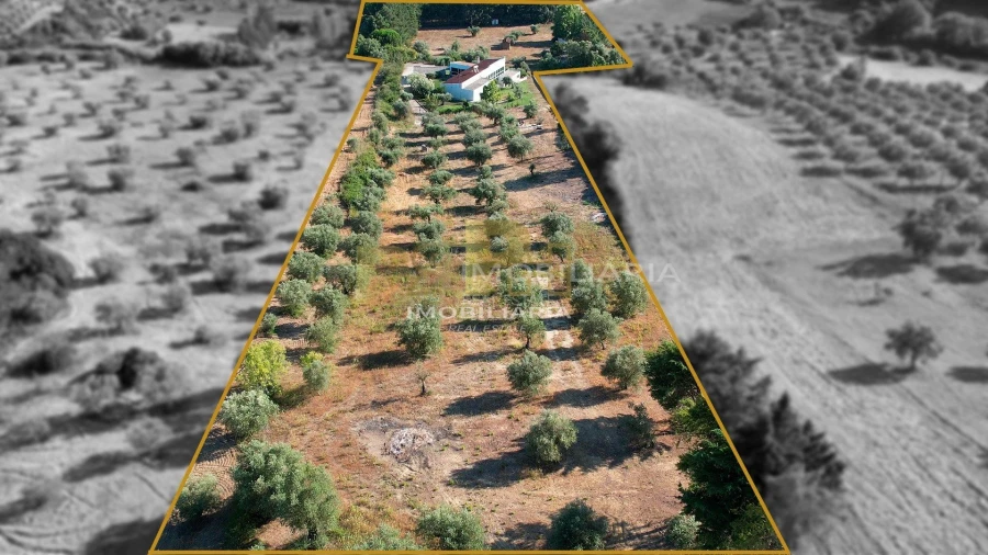 Quinta T5 para Venda em Moçarria Foto 57