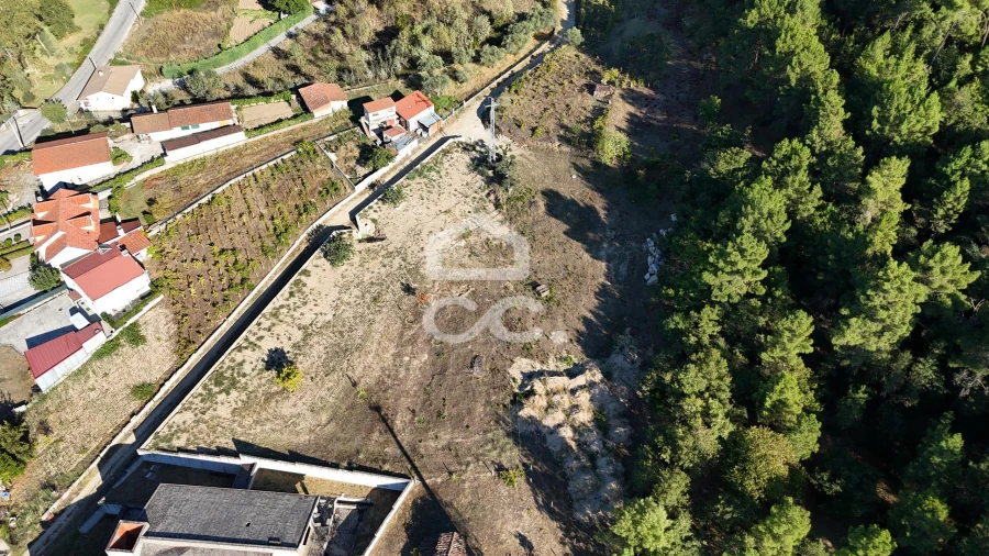 Terreno para Venda em Eiras, São Julião de Montenegro e Cela Foto 13