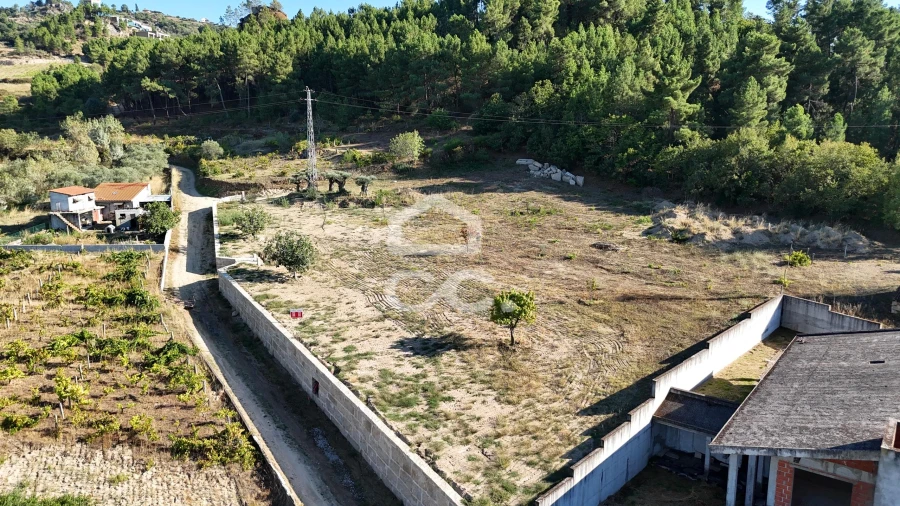 Terreno para Venda em Eiras, São Julião de Montenegro e Cela Foto 14