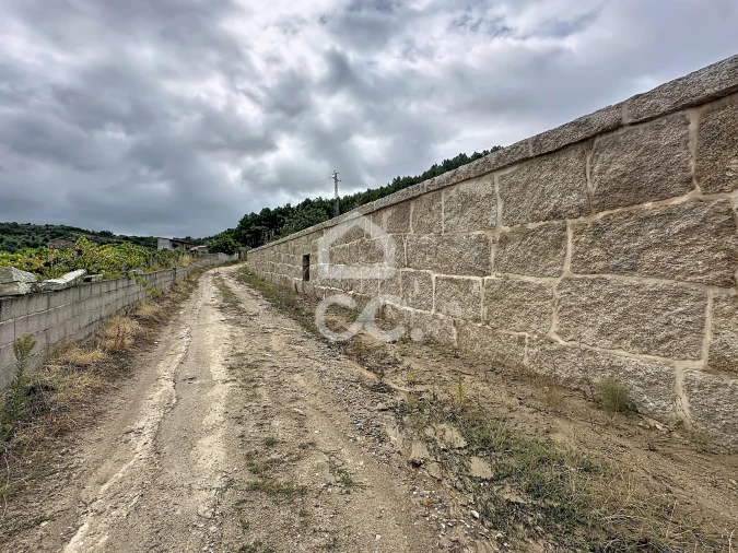 Terreno para Venda em Eiras, São Julião de Montenegro e Cela Foto 15