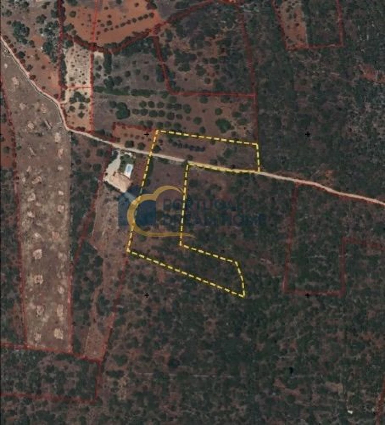 Terreno para Venda em Loule (São Sebastião) Foto 7