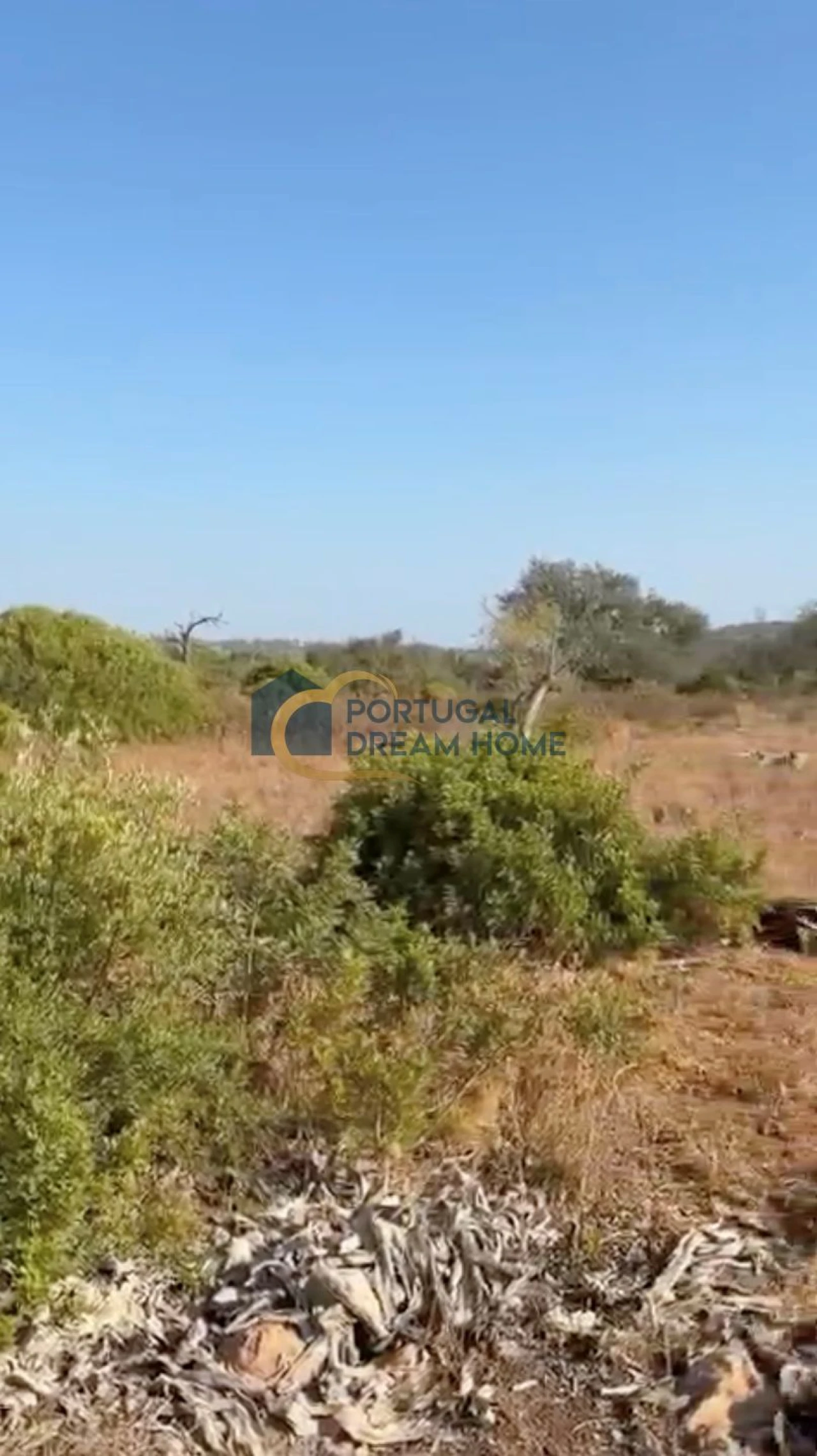Terreno para Venda em Loule (São Sebastião) Foto 3