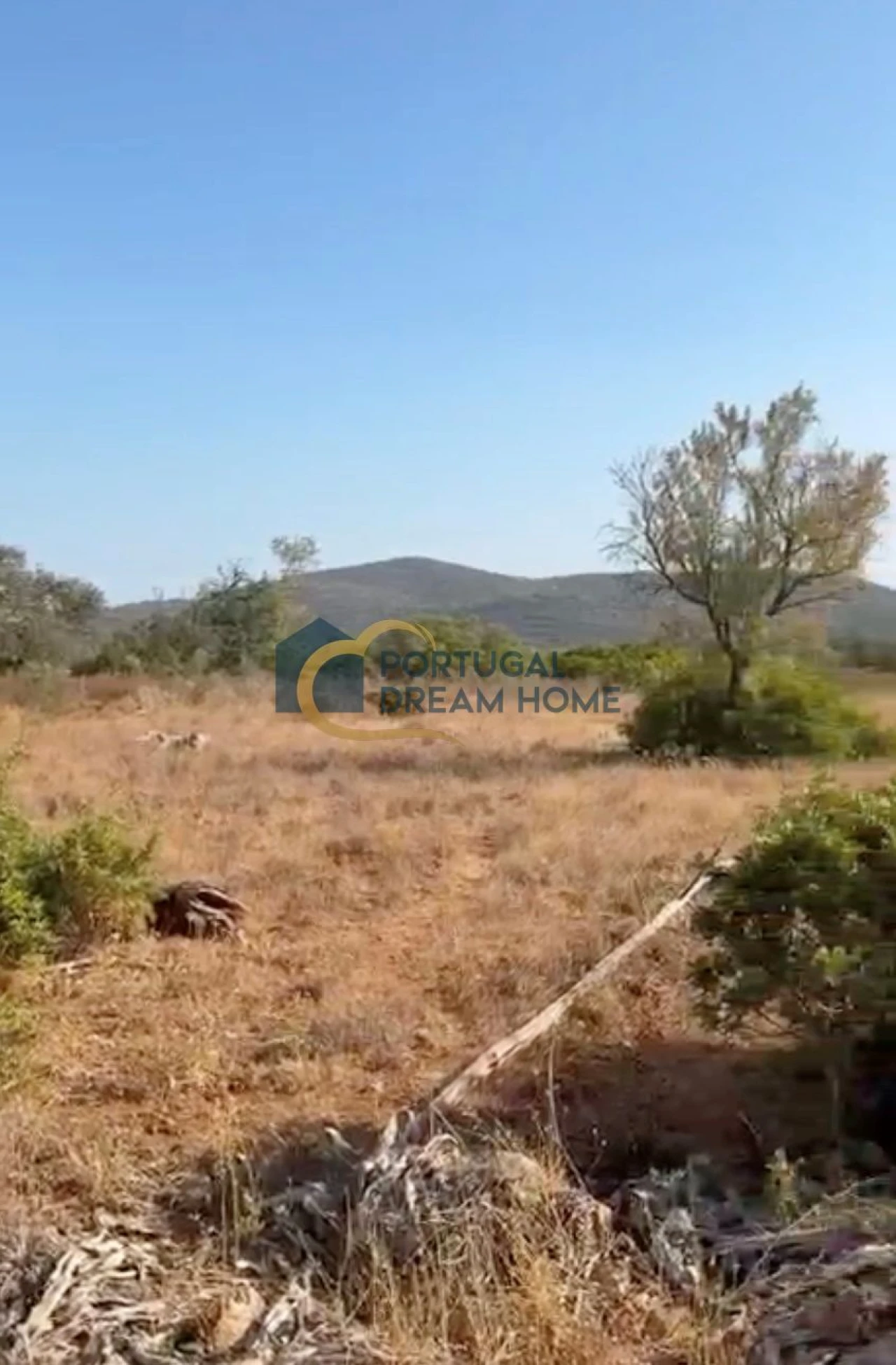 Terreno para Venda em Loule (São Sebastião) Foto 2