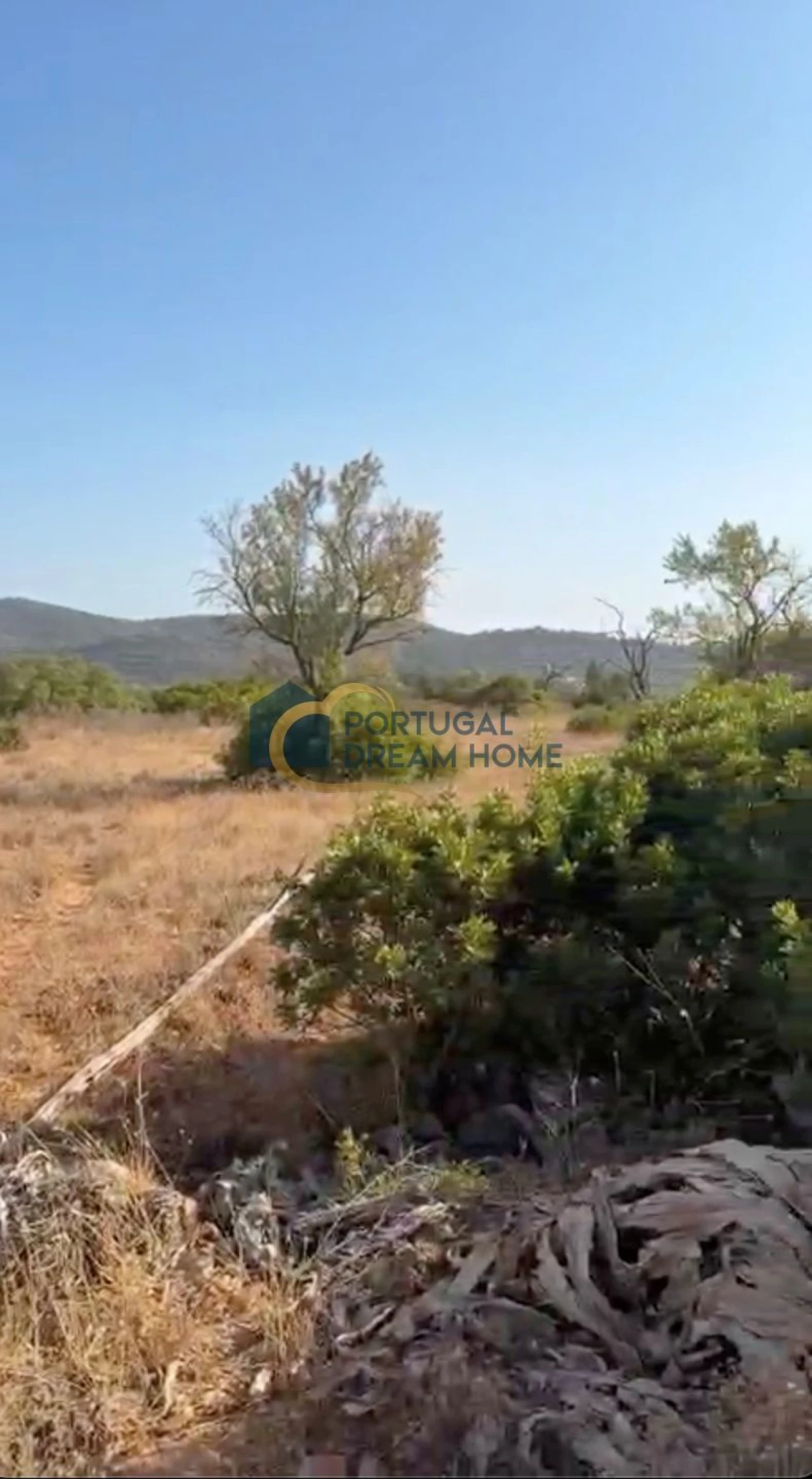 Terreno para Venda em Loule (São Sebastião) Foto 4