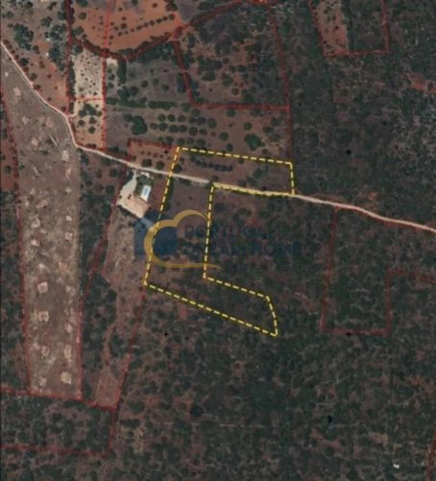 Terreno para Venda em Loule (São Sebastião) Foto 7
