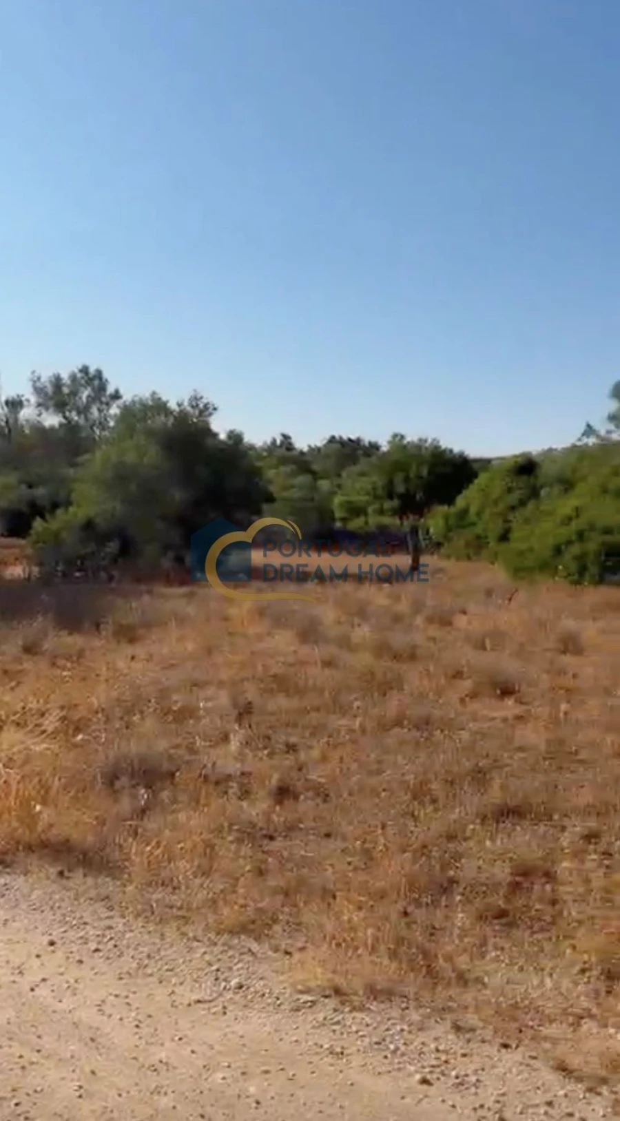 Terreno para Venda em Loule (São Sebastião) Foto 5
