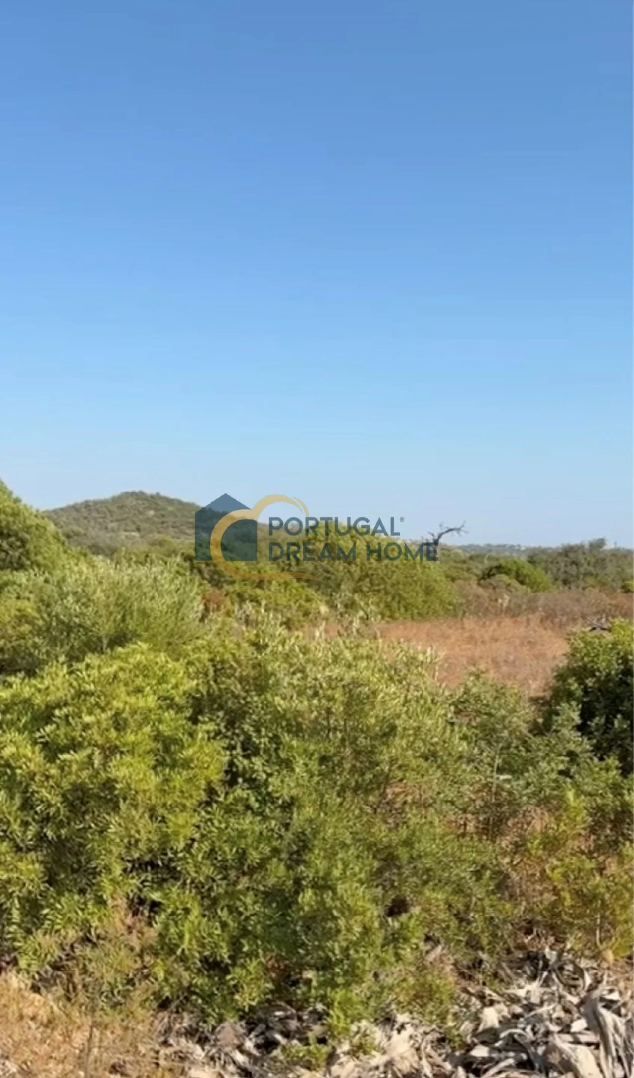 Terreno para Venda em Loule (São Sebastião) Foto 1