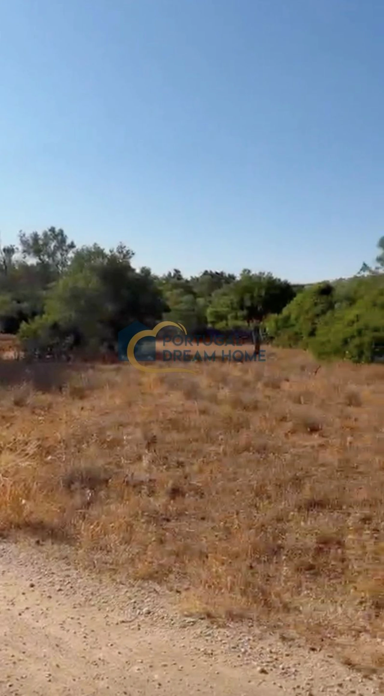 Terreno para Venda em Loule (São Sebastião) Foto 5