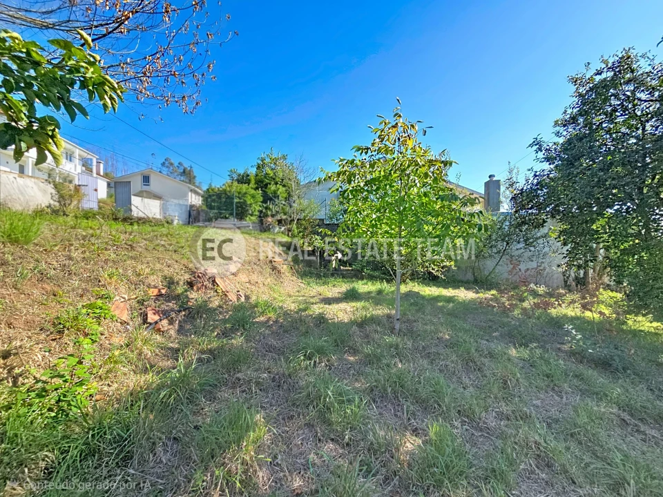 Terreno para Venda em Branca Foto 12