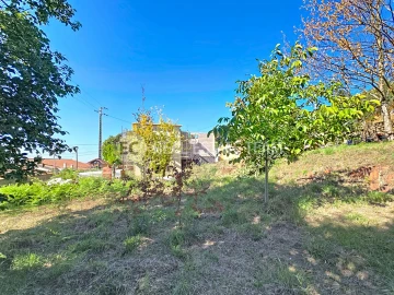 Terreno para Venda em Branca
