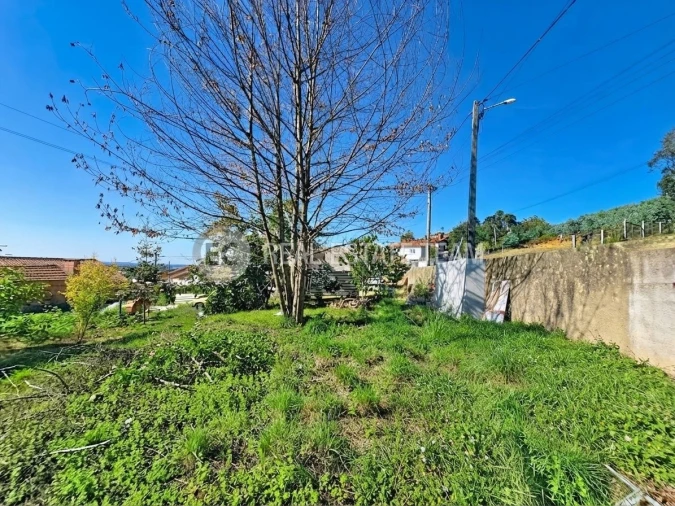 Terreno para Venda em Branca Foto 3
