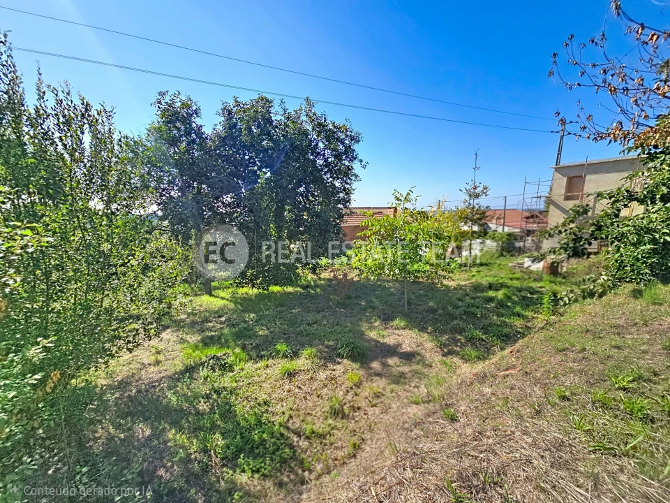 Terreno para Venda em Branca Foto 6