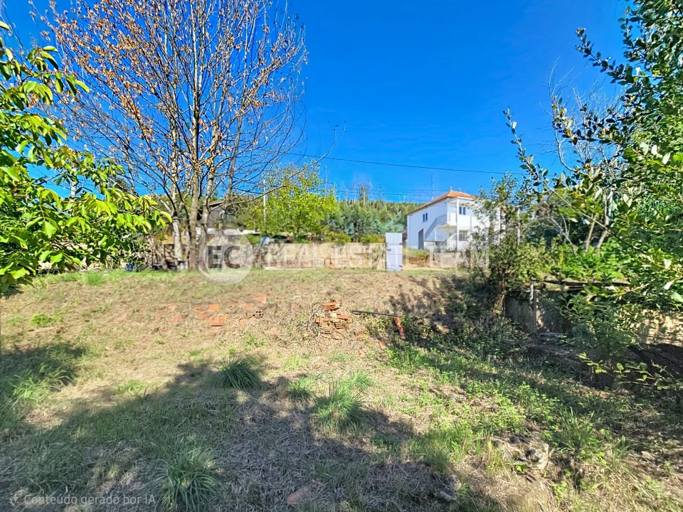 Terreno para Venda em Branca Foto 11