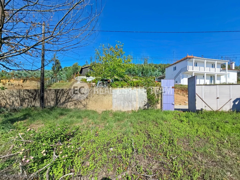 Terreno para Venda em Branca Foto 4