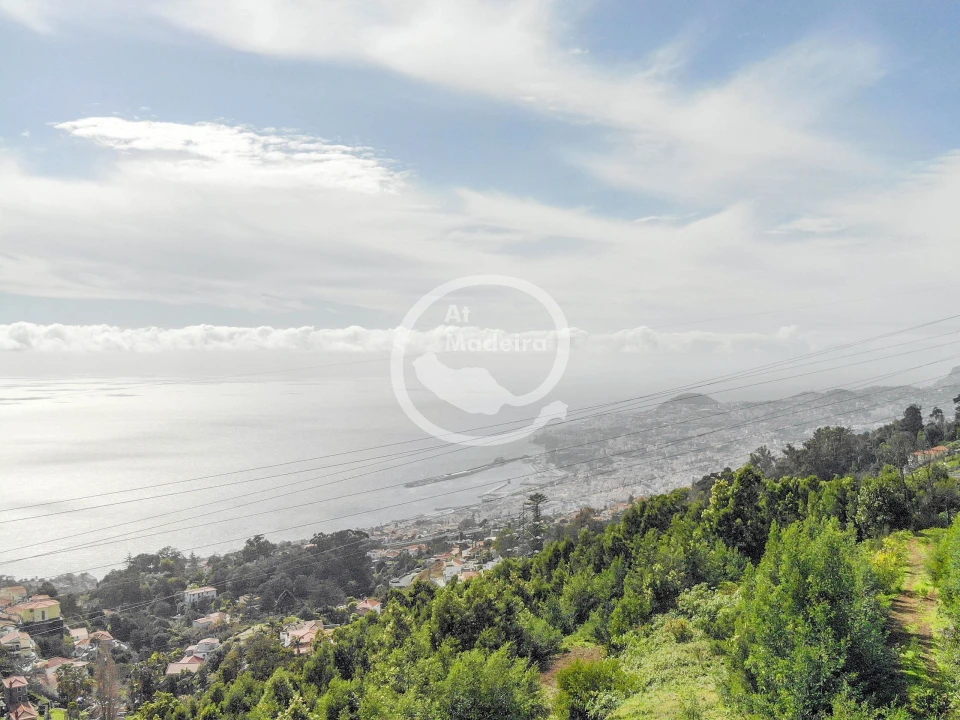 Terreno para Venda em São Gonçalo Foto 6