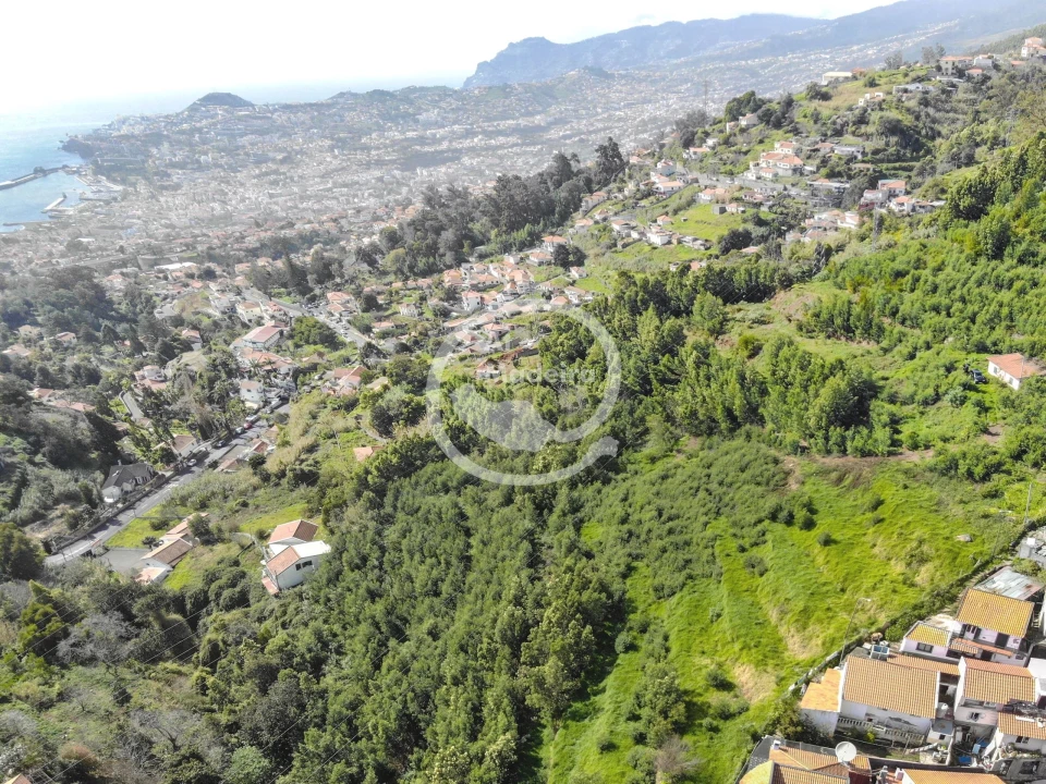 Terreno para Venda em São Gonçalo Foto 3