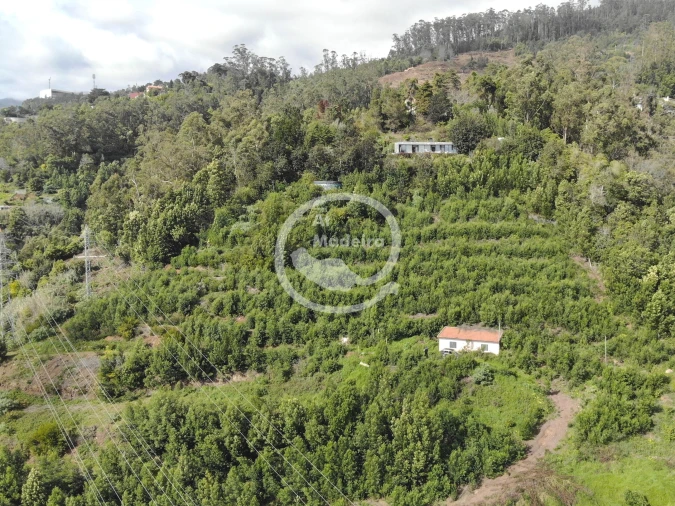 Terreno para Venda em São Gonçalo Foto 10