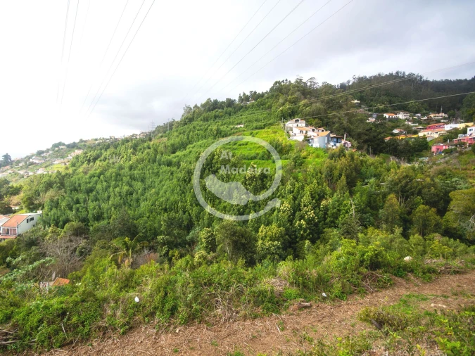 Terreno para Venda em São Gonçalo Foto 12