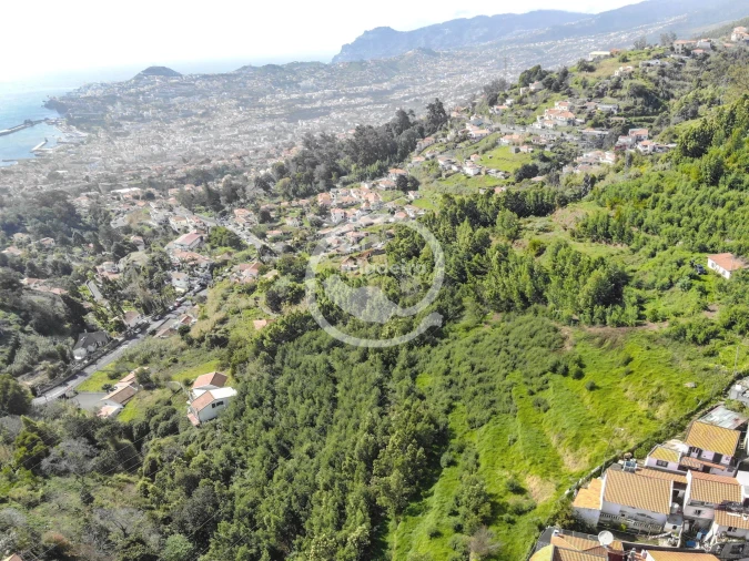 Terreno para Venda em São Gonçalo Foto 3