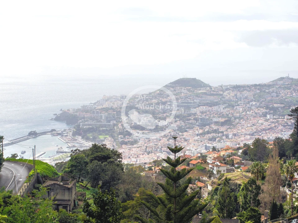 Terreno para Venda em São Gonçalo Foto 11