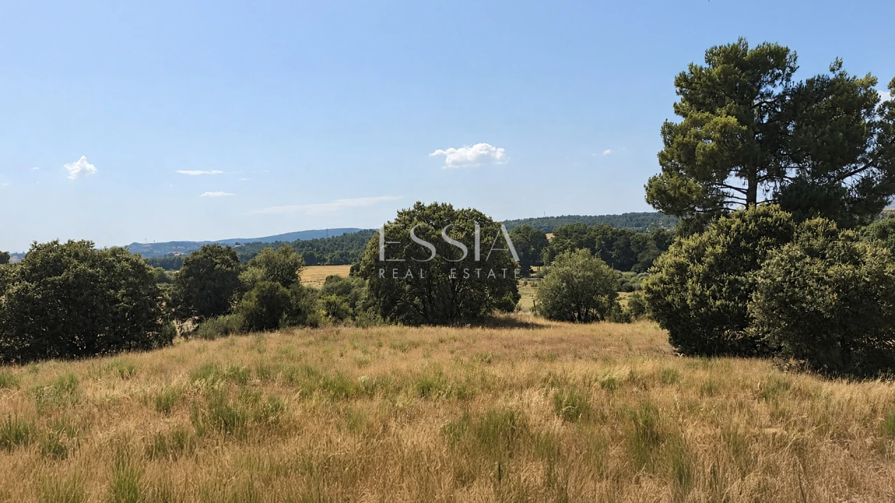 Quinta T4 para Venda em São Pedro e Santa Maria e Vila Boa do Mondego Foto 11