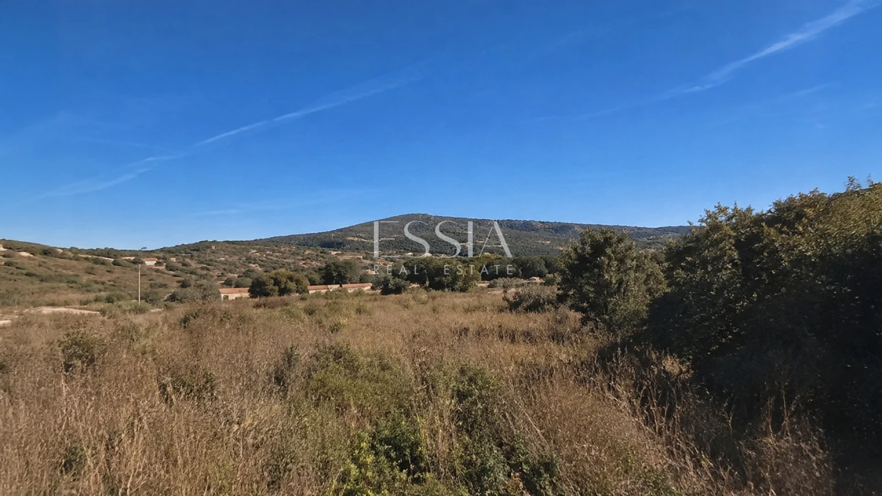 Quinta T4 para Venda em São Pedro e Santa Maria e Vila Boa do Mondego Foto 13