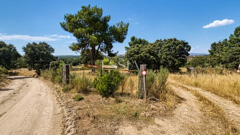 Quinta T4 para Venda em São Pedro e Santa Maria e Vila Boa do Mondego