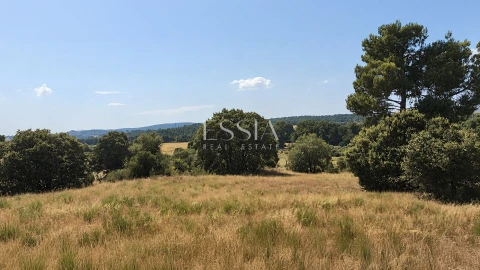 Quinta T4 para Venda em São Pedro e Santa Maria e Vila Boa do Mondego