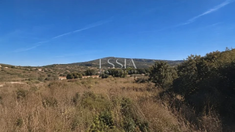 Quinta T4 para Venda em São Pedro e Santa Maria e Vila Boa do Mondego