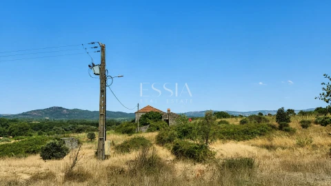 Quinta T4 para Venda em São Pedro e Santa Maria e Vila Boa do Mondego