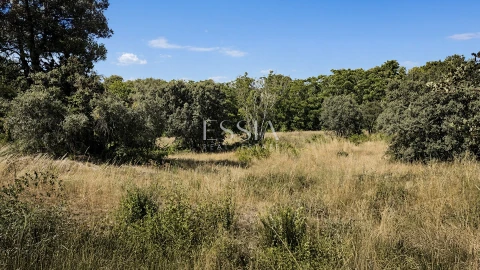 Quinta T4 para Venda em São Pedro e Santa Maria e Vila Boa do Mondego