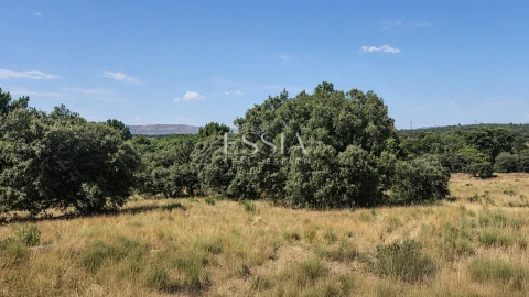 Quinta T4 para Venda em São Pedro e Santa Maria e Vila Boa do Mondego