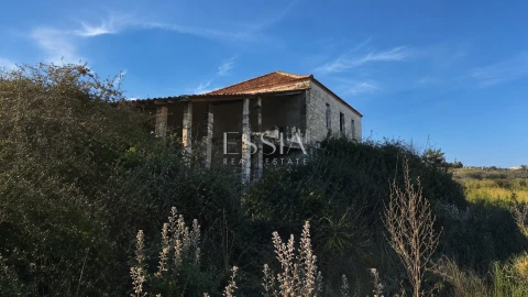 Quinta T4 para Venda em São Pedro e Santa Maria e Vila Boa do Mondego