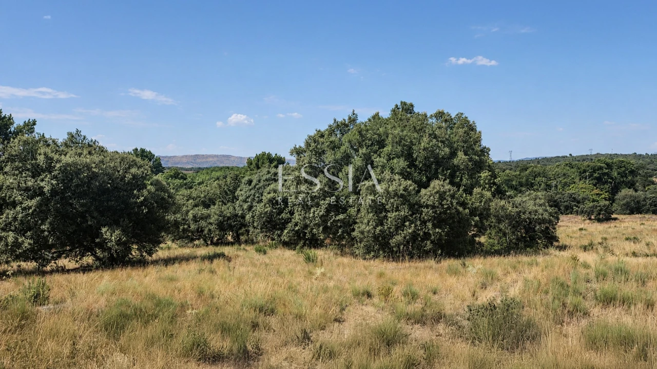 Quinta T4 para Venda em São Pedro e Santa Maria e Vila Boa do Mondego Foto 7