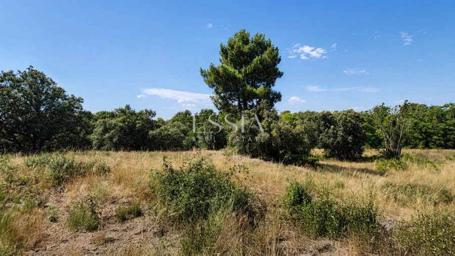 Quinta T4 para Venda em São Pedro e Santa Maria e Vila Boa do Mondego Foto 10
