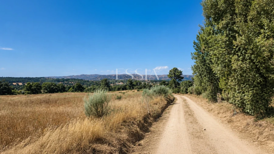 Quinta T4 para Venda em São Pedro e Santa Maria e Vila Boa do Mondego Foto 15
