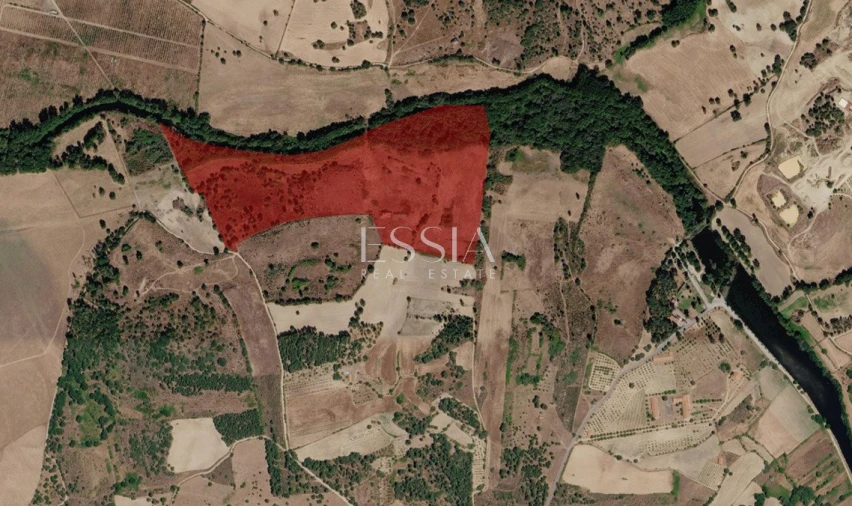 Quinta T4 para Venda em São Pedro e Santa Maria e Vila Boa do Mondego Foto 16