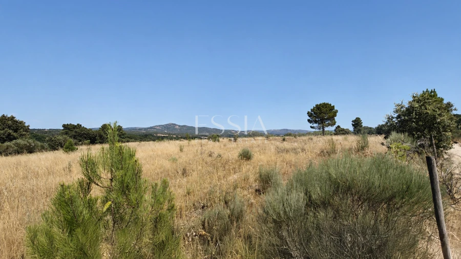 Quinta T4 para Venda em São Pedro e Santa Maria e Vila Boa do Mondego Foto 6